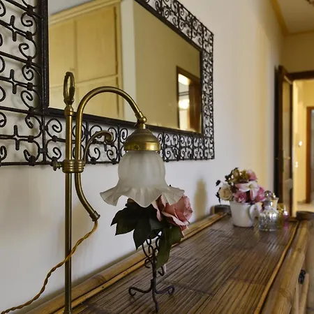 Villa La Bouganville Versilia Marina di Pietrasanta